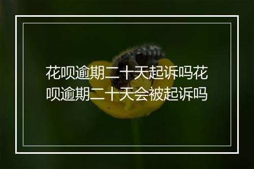 花呗逾期二十天起诉吗花呗逾期二十天会被起诉吗