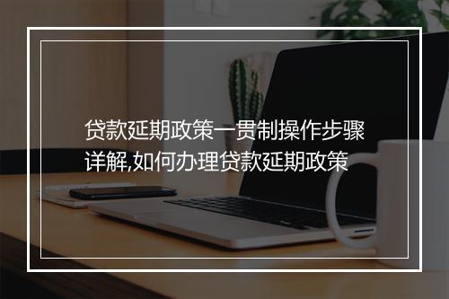 贷款延期政策一贯制操作步骤详解,如何办理贷款延期政策