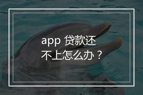 app 贷款还不上怎么办？