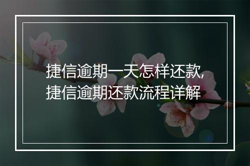 捷信逾期一天怎样还款,捷信逾期还款流程详解