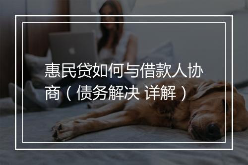 惠民贷如何与借款人协商（债务解决 详解）