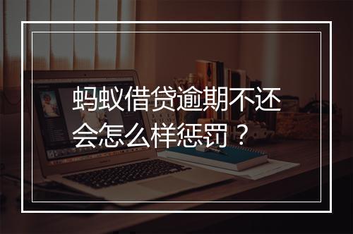 蚂蚁借贷逾期不还会怎么样惩罚？