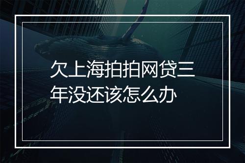 欠上海拍拍网贷三年没还该怎么办