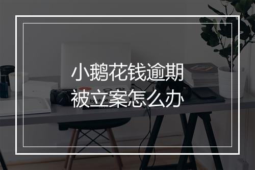 小鹅花钱逾期被立案怎么办