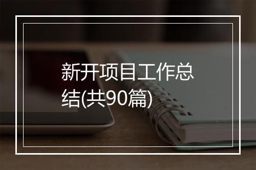 新开项目工作总结(共90篇)