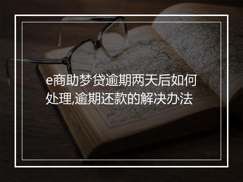 e商助梦贷逾期两天后如何处理,逾期还款的解决办法