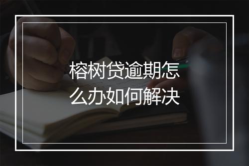 榕树贷逾期怎么办如何解决