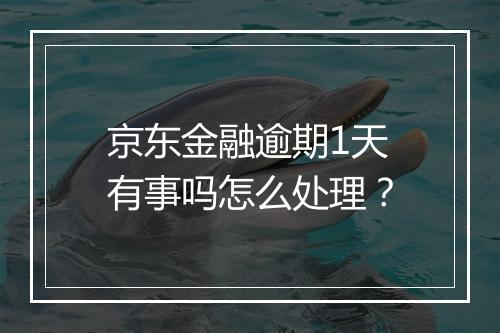 京东金融逾期1天有事吗怎么处理？