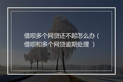 借呗多个网贷还不起怎么办（借呗和多个网贷逾期处理 ）