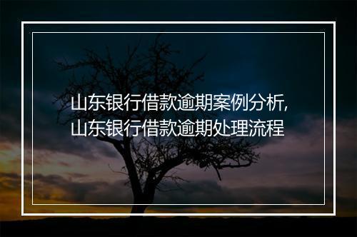 山东银行借款逾期案例分析,山东银行借款逾期处理流程