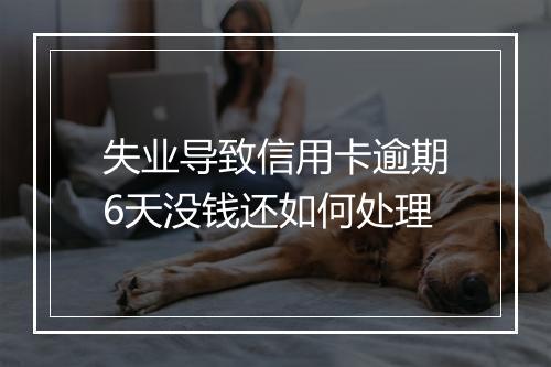 失业导致信用卡逾期6天没钱还如何处理