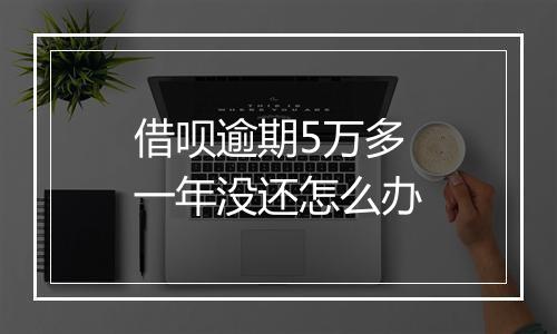 借呗逾期5万多一年没还怎么办