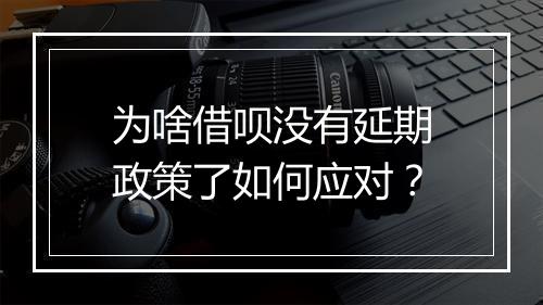 为啥借呗没有延期政策了如何应对？
