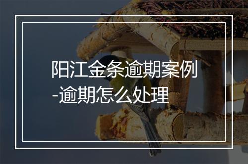 阳江金条逾期案例-逾期怎么处理