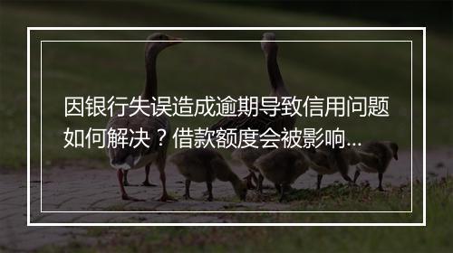 因银行失误造成逾期导致信用问题如何解决？借款额度会被影响吗？