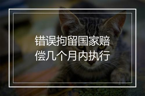 错误拘留国家赔偿几个月内执行