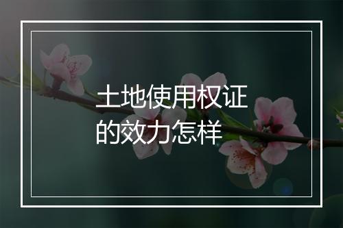 土地使用权证的效力怎样