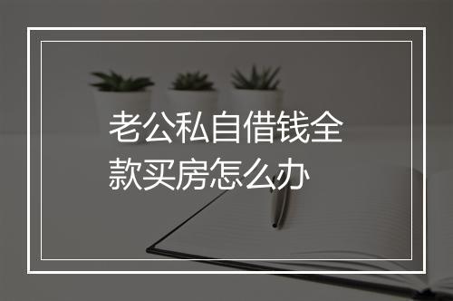 老公私自借钱全款买房怎么办