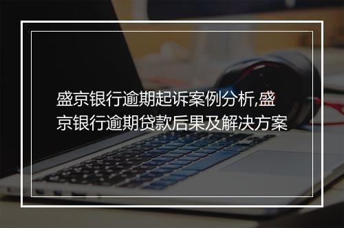 盛京银行逾期起诉案例分析,盛京银行逾期贷款后果及解决方案
