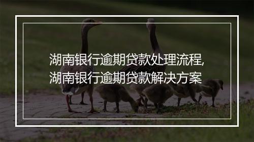 湖南银行逾期贷款处理流程,湖南银行逾期贷款解决方案