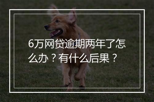6万网贷逾期两年了怎么办？有什么后果？