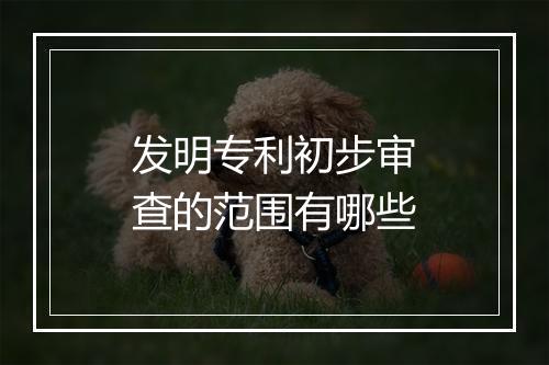 发明专利初步审查的范围有哪些