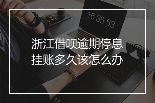浙江借呗逾期停息挂账多久该怎么办
