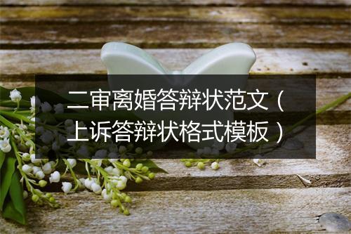 二审离婚答辩状范文（上诉答辩状格式模板）