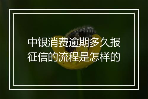 中银消费逾期多久报征信的流程是怎样的