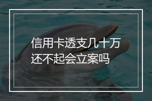 信用卡透支几十万还不起会立案吗