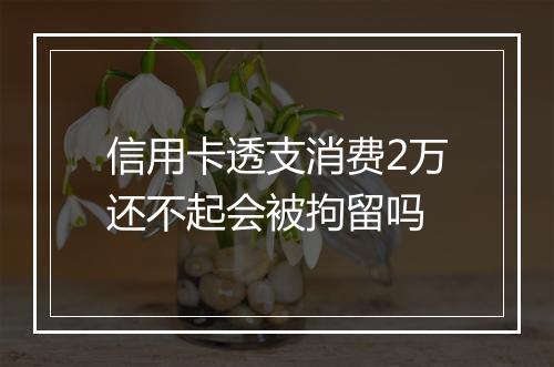 信用卡透支消费2万还不起会被拘留吗