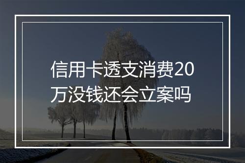 信用卡透支消费20万没钱还会立案吗