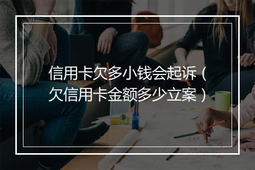 信用卡欠多小钱会起诉（欠信用卡金额多少立案）