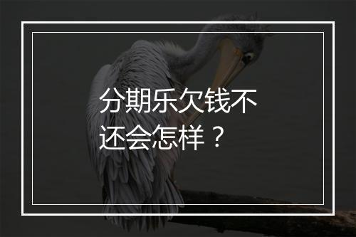 分期乐欠钱不还会怎样？