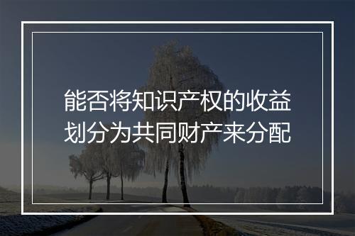 能否将知识产权的收益划分为共同财产来分配