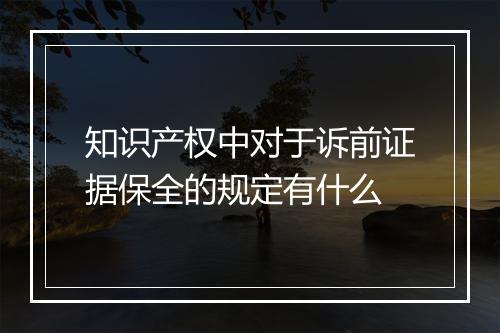 知识产权中对于诉前证据保全的规定有什么