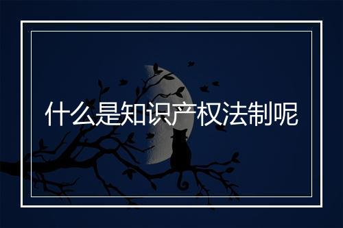 什么是知识产权法制呢