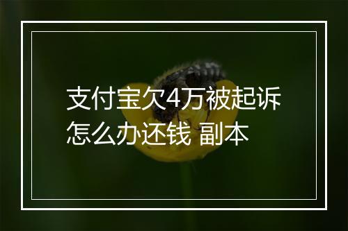 支付宝欠4万被起诉怎么办还钱 副本