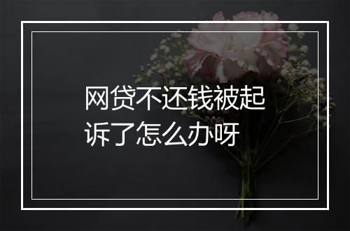 网贷不还钱被起诉了怎么办呀