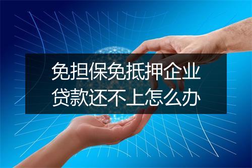 免担保免抵押企业贷款还不上怎么办