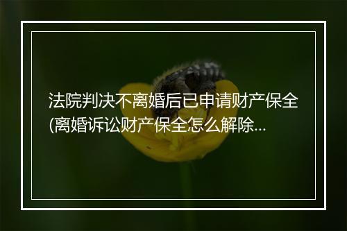 法院判决不离婚后已申请财产保全(离婚诉讼财产保全怎么解除)