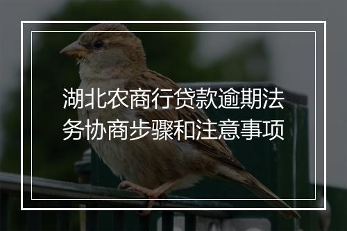 湖北农商行贷款逾期法务协商步骤和注意事项