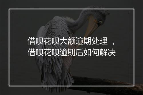 借呗花呗大额逾期处理 ，借呗花呗逾期后如何解决