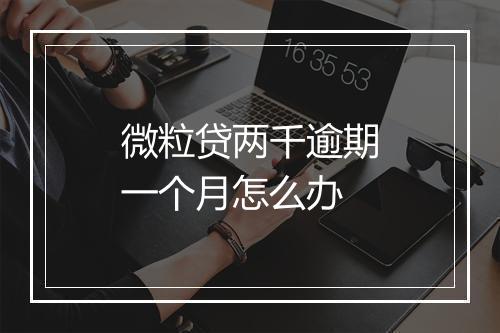 微粒贷两千逾期一个月怎么办