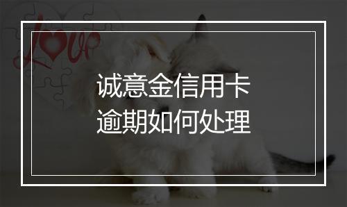 诚意金信用卡逾期如何处理