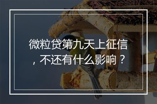 微粒贷第九天上征信，不还有什么影响？