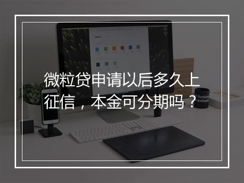 微粒贷申请以后多久上征信，本金可分期吗？