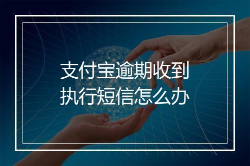 支付宝逾期收到执行短信怎么办