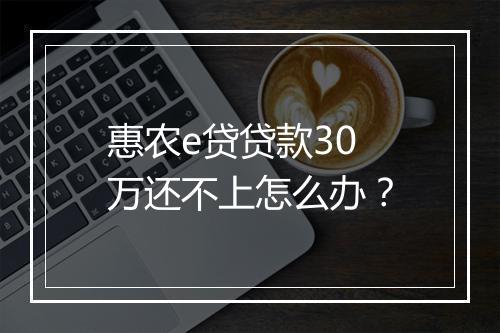 惠农e贷贷款30万还不上怎么办？