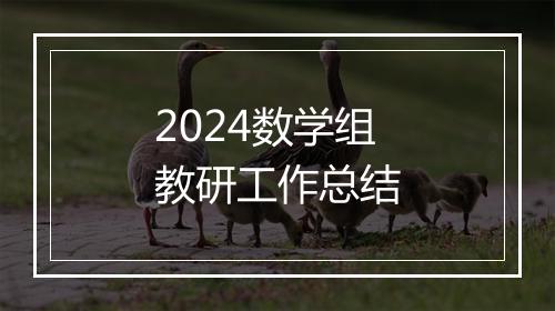 2024数学组教研工作总结